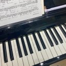 코코게임방 | 11월의 보통 날들 (上)