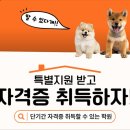 희망애견미용샵 네이버블로그