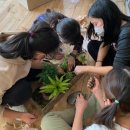 강화초등학교 이미지