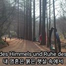 Auf dem Wasser zu singen (물 위에서 노래함)........... 이미지