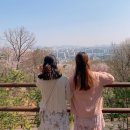 세븐일레븐계양산둘레길점 | 인천 계양산 둘레길 벚꽃 꽃구경 산책로 등산코스