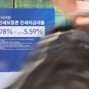 결국 또 ‘집값 띄우기’인가…DSR 규제 시행 1주 앞두고 연기 이미지