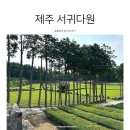 카페봄봄서귀 | 서귀다원 제주 녹차밭 녹차시음 사진찍기 좋은 곳 아기랑 제주여행 코스 추천