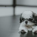 계양메디칼센터 이미지