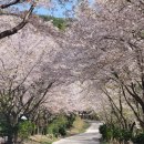 용현자연휴양림 야영장 이미지