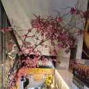 만나정식 이미지