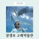 역동생태문화마을 | 울산 장생포 고래박물관 생태체험관 아이랑 다녀온 후기