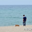 강릉제일오토