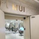 무이 | 삼전역 미용실, 송파 미용실 무이 잠실점 방문 후기 (feat. 컬러, 서비스맛집)