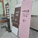 밑반찬과 손님초대 | 부산 벡스코 웨딩홀 리뉴얼 후 본식 후기 화이트홀 버전 세븐스헤븐 스냅