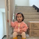 CS목장 | 뉴오리진 a2 생우유 상함, CS 교환 후기, 재구매 안할거임, 다른 우유로 바꿈