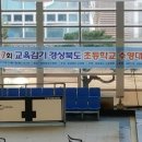 제17회 교육감기 경상북도 초등학교 수영대회 이미지