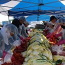 경산농약사 이미지