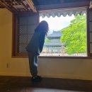 [템플스테이] 도갑사 템플스테이 후기🏞️🌕