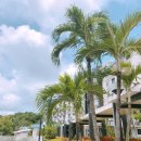 남부코스 이미지