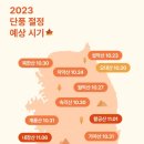 2023 단풍절정 예상시기 이미지