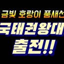 금빛 호랑이 태권도 이미지