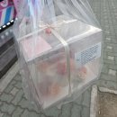 로사플라워 - 서천군 사곡로 28 | 부평용돈케이크, 반전케이크 어머니 환갑선물 내돈내산 후기"로사앙금플라워 떡케이크"