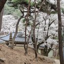 부흥사 이미지