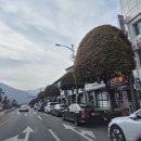 소백산자락길캠핑장 | 1박2일로 다녀오기 좋았던 단양여행 후기/단양 가볼만한 곳