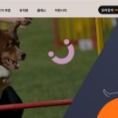50k 반려견 유치원 이미지