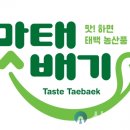 태백시농업기술센터 이미지