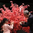 꿈이있는 도서관 이미지