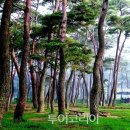 섬진강웰빙재첩