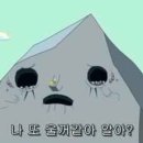 더블유 펫 이미지