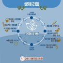 더하기빼기한의원 네이버블로그