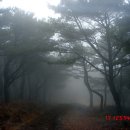 구포3동-17 | 금정산-백양산/부산