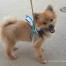 네이쳐스키 이미지