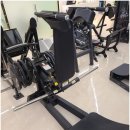 머슬메모리짐 이미지