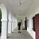 떡볶이 스타 미아점 | 맛집투어 대만여행(1-2일)