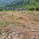 선리농장 이미지