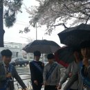 진해중앙고등학교 이미지