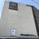 뚜벅이 하우스 | 올레시장 도보 3분 뚜벅이추천 제주도게스트하우스 모멘토하우스 숙박 후기