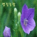 명진농장 이미지