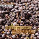 CH푸드