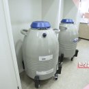 서울마리산부인과의원 네이버블로그