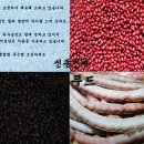 ＜김제 지평선평야＞신동진쌀 햅쌀 백미 현미 찰현미 찹쌀 [밥맛이 일품 ^^] (농가직거래) 이미지