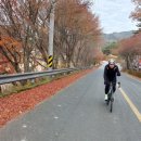 동교길-6 이미지