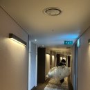 데일리 | 대구 인터불고 호텔 프로포즈 업체 출장 데일리풍선 후기