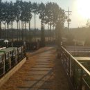 제주엘펜션 이미지