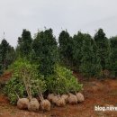 중부농산 이미지