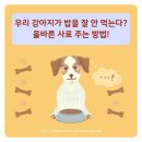 탄현 동물병원 이미지