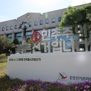 6ㆍ3 울산시장 선거 4파전 가능성 고조 이미지