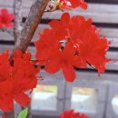 《절벽 위의 계단, 침묵 아래의 진동: 경사의 신학과 공명하는 공동체》