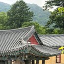 해인사 | 해인사 후기 | 합천 반값여행 방문지 추천