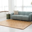 편한 의료기 | 한일의료기 전기매트 EMF 모노륨 전기장판 1인용 사용 후기